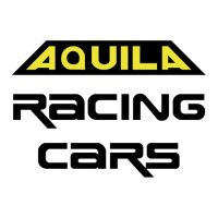 Car Development Process